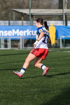Bild 138 - wBJ Hamburger SV - Hertha BSC : Ergebnis: 2:1
